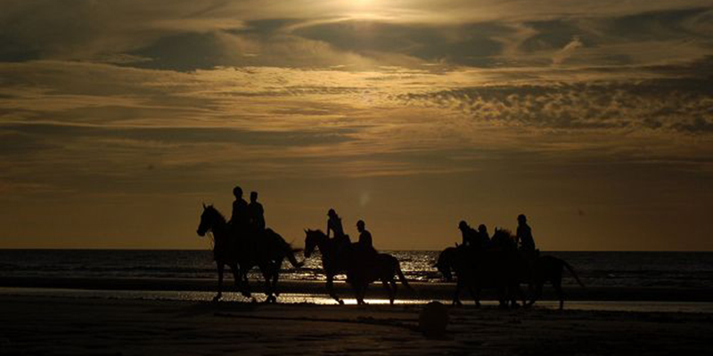 essaouira-cheveaux