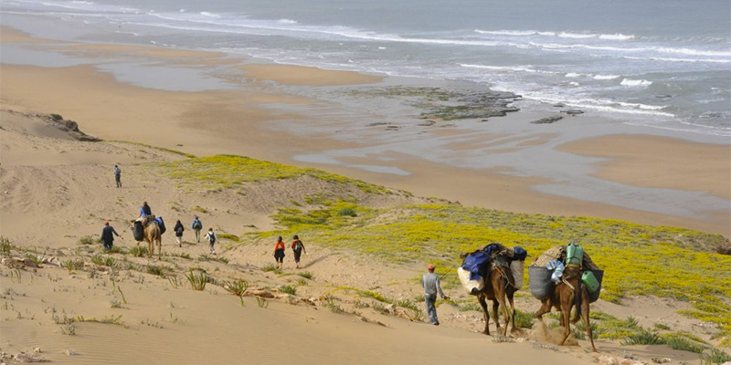 essaouira-trekking